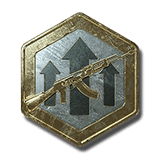 Prem. Weapon EXP Token X2