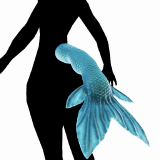 Tail Mermaid