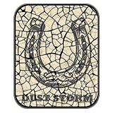 Horseshoe Arm Patch