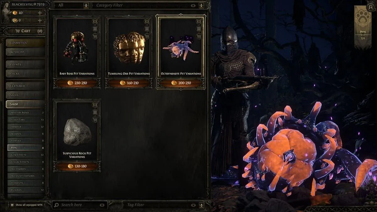 Path of Exile 2 - шаг инструкции